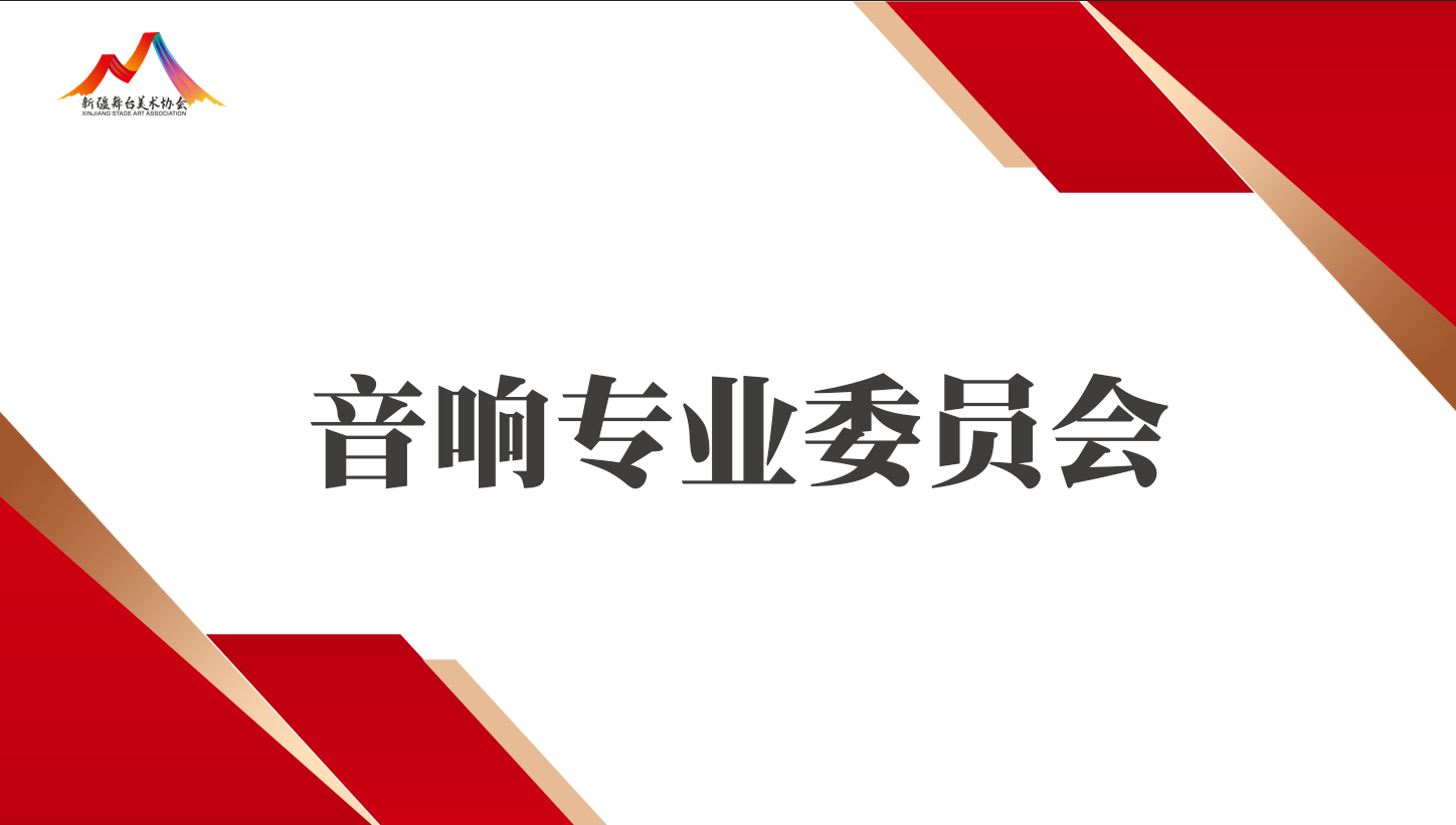 音响专业委员会专家顾问团