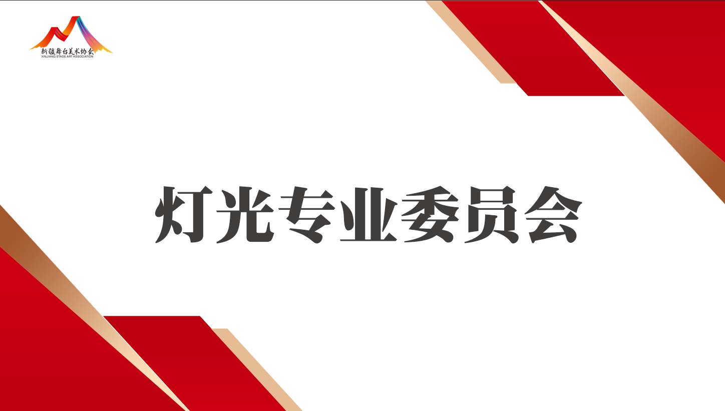 灯光专业委员会专家顾问团